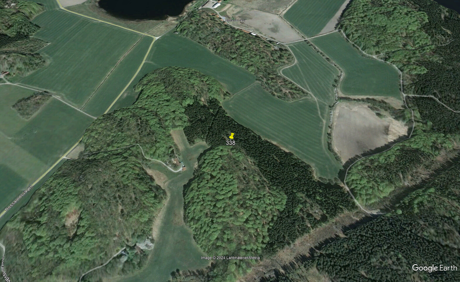 Before image of forest